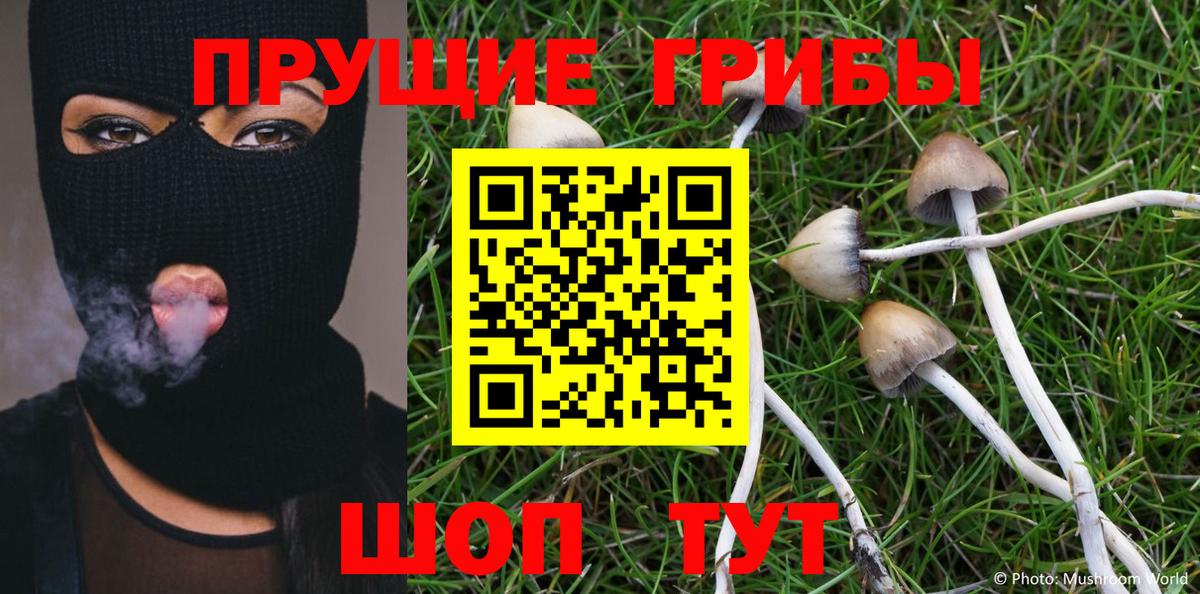 Псилоцибиновые грибы Psilocybine cubensis  Вход с VPN  Магадан  Галлюциногенные грибы мицелий 